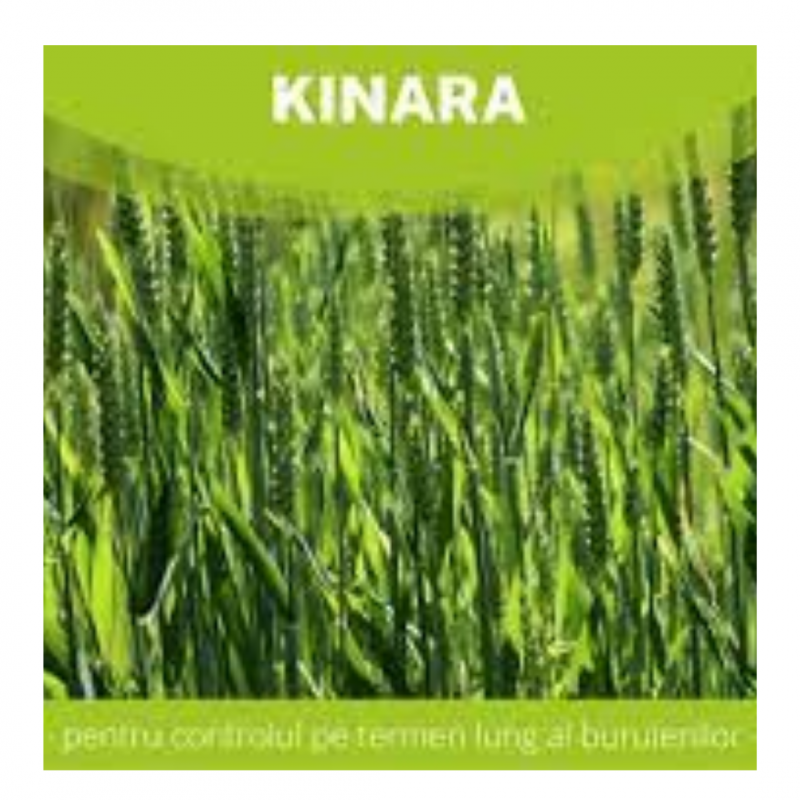 Erbicid KINARA 5 Litri, Cereale Plugarul